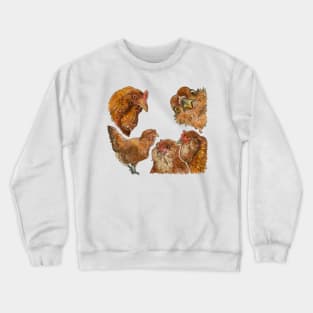 Easter Egger Chicken Watercolor hen Crewneck Sweatshirt